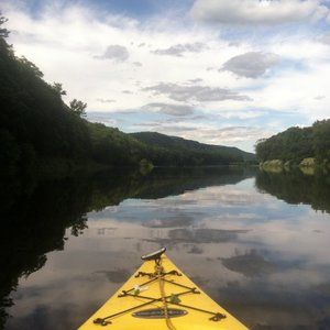 Meet your Posher, Marianne
